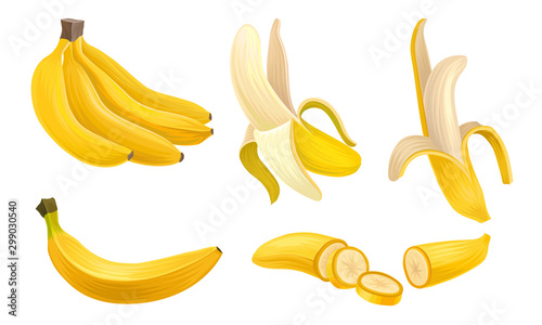 Banana Vector Set With Half Peeled Bananas and Cut Slices