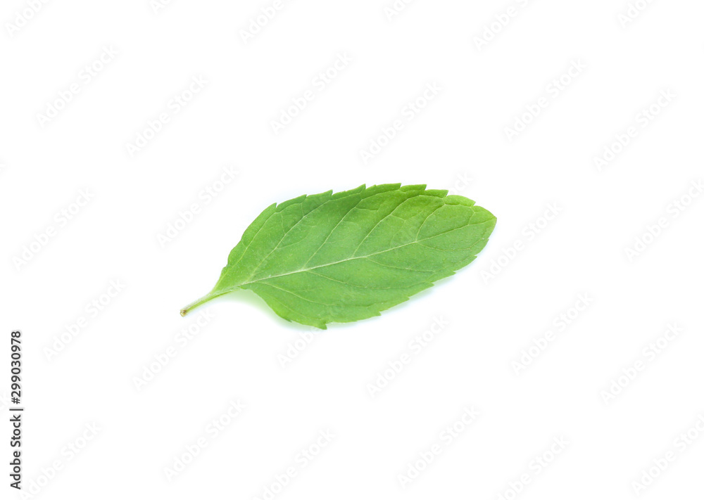 mint leaves isolated isolated on white