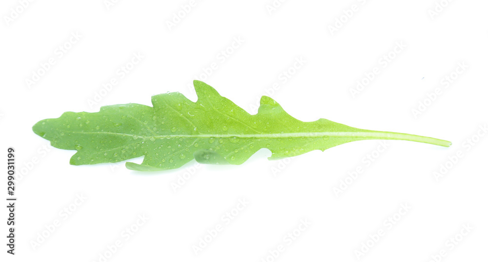 green fresh rucola leaves isolated on white background. Rocket salad or arugula green fresh rucola leaves isolated on white background. Rocket salad or arugula