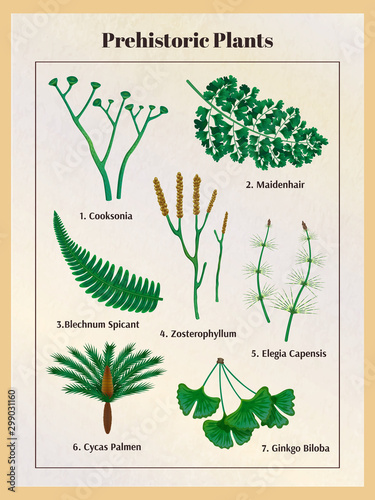 Prehistoric Plants Botanical Set