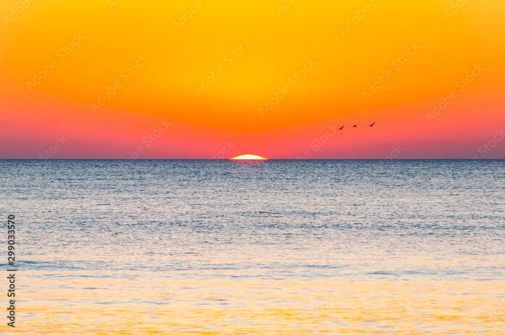 The last seconds of the amazing sundown. Three birds flying above the horizon, a bit of the sun star sphere is showing up above the sea. Vibrant sunset on Cala Violina beach