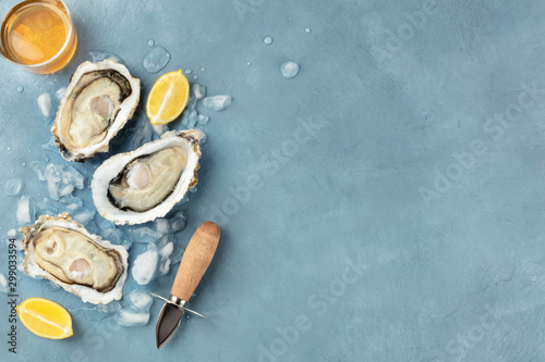 Fresh raw oysters, shotfrom the top with a glass of white wine, lemon slices, a shucking knife and copy space photo