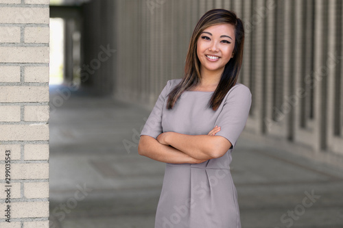 Portrait of an asian american female law attorney, business representative, legal representative,  lawyer