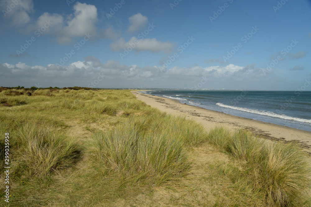 The sandy beach and dunes at Studland Bay near Swanage in Dorset on the South Coast The sandy beach and dunes at Studland Bay near Swanage in Dorset on the South Coast