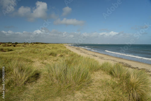 The sandy beach and dunes at Studland Bay near Swanage in Dorset on the South Coast