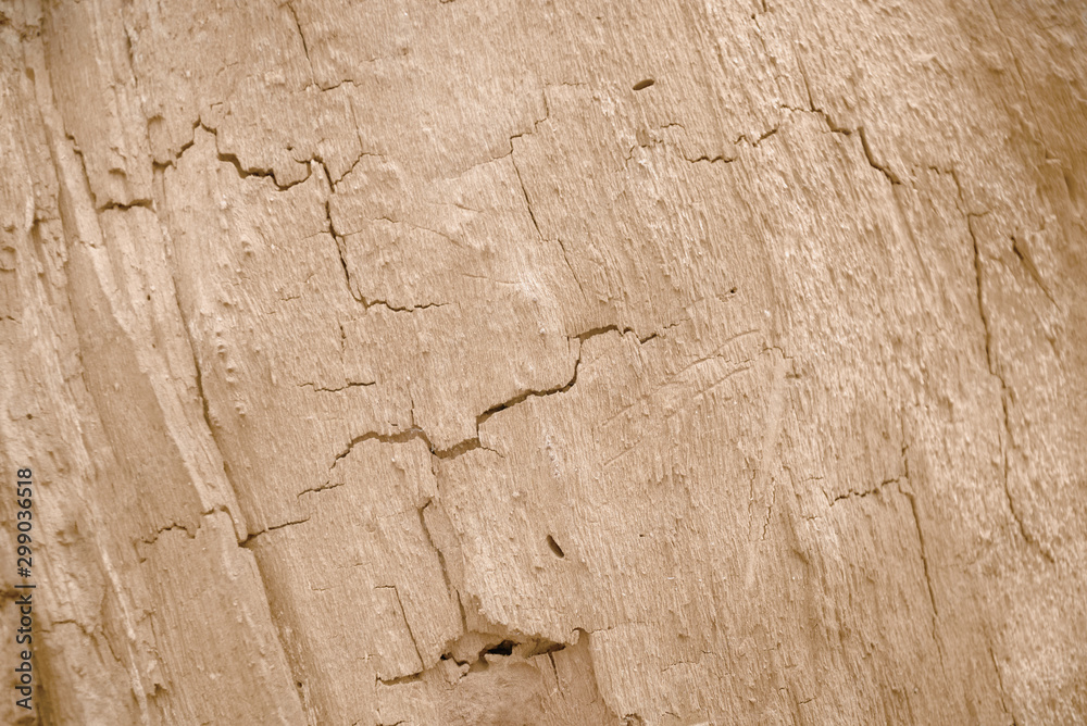 Fototapeta premium broken wood texture for background