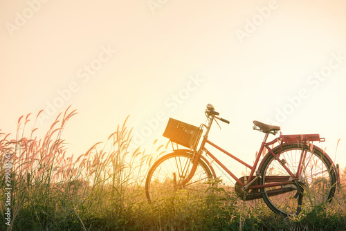 Retro bicycle in fall season grass field, warm meadow tone © totojang1977