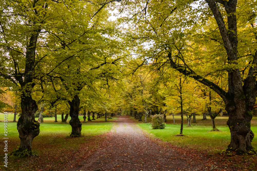 Loviisa, Finland - 7 October 2019: The park on Manor House Malmgard.