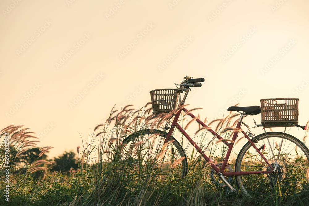 Retro bicycle in fall season grass field, warm meadow tone Retro bicycle in fall season grass field, warm meadow tone