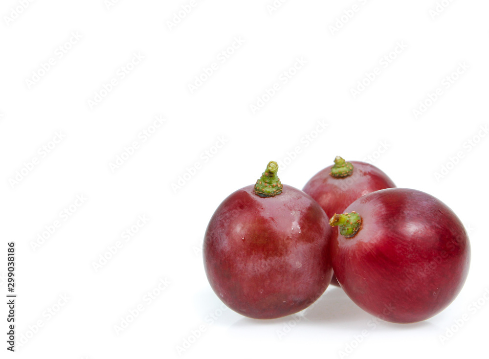 copy space red grapes isolated on white background copy space red grapes isolated on white background