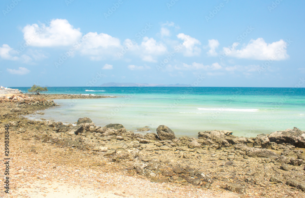 beach and tropical sea