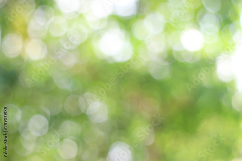 Natural green background, blur, bokeh. Can be used as a background.