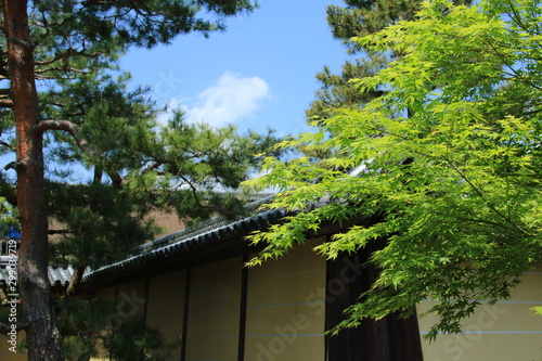 京都 大覚寺