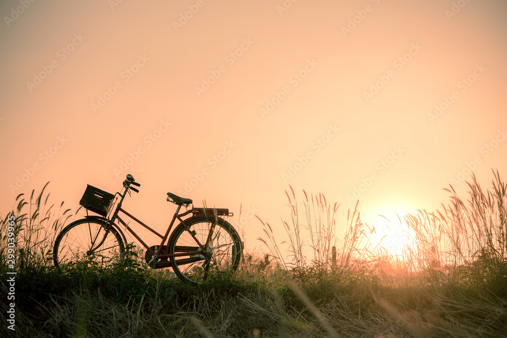 Retro bicycle in fall season grass field, warm meadow tone Retro bicycle in fall season grass field, warm meadow tone