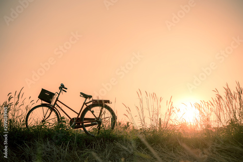 Retro bicycle in fall season grass field, warm meadow tone © totojang1977