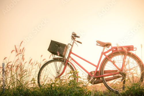 Retro bicycle in fall season grass field  warm meadow tone