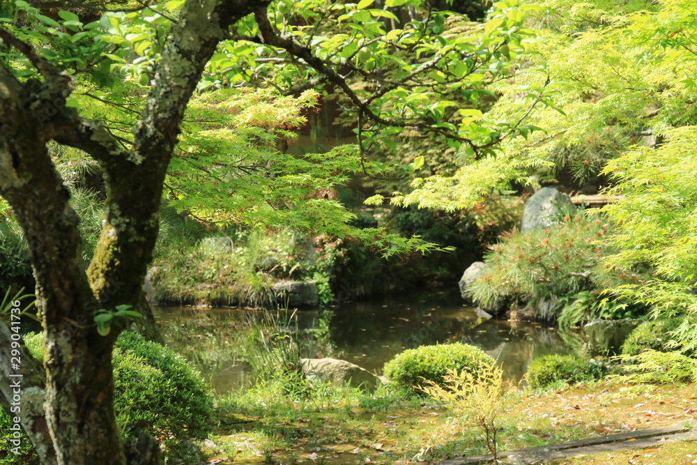 京都 大覚寺 京都 大覚寺