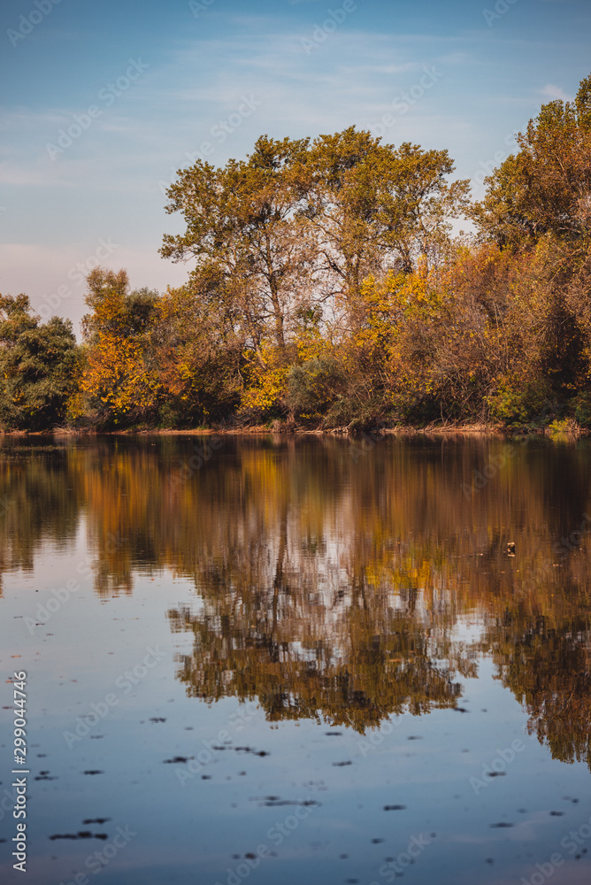 autumn landscape with lake and trees