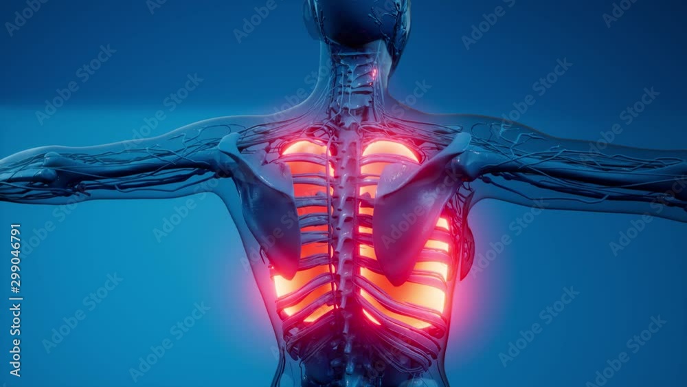 science anatomy scan of human lungs glowing science anatomy scan of human lungs glowing