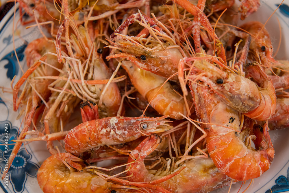 Salt-boiled live shrimp (Prawning, prawn fishing) Salt-boiled live shrimp (Prawning, prawn fishing)