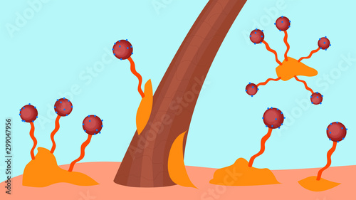 A surfactant molecule cleanses scalp and hair from sebum. So we work shampoo. Vector image. The structure of the surfactant molecule