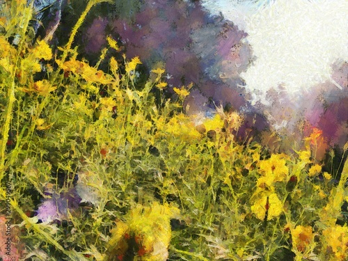 Yellow Star Thymophylla, yellow flowers in nature summer background Illustrations creates an impressionist style of painting. photo