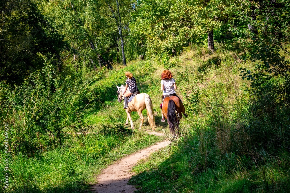 Fototapeta premium Two horses and riders riding on a narrow forest path. Horse riding