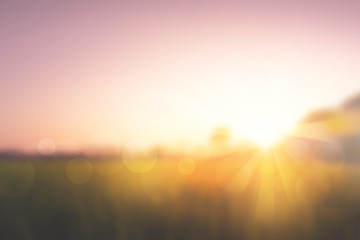 Acrylglasbilder Orange Sweet meadows at sunset blurry background  © thekopmylife