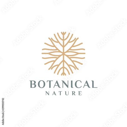 root logo  root concept of natural vector lines illustration