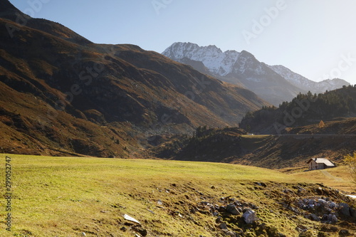 Blick vom Schindelboden am Flüelapass auf Flüela Weisshorn.