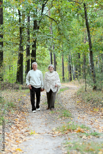 Portrait of old couple walking in autumn forest