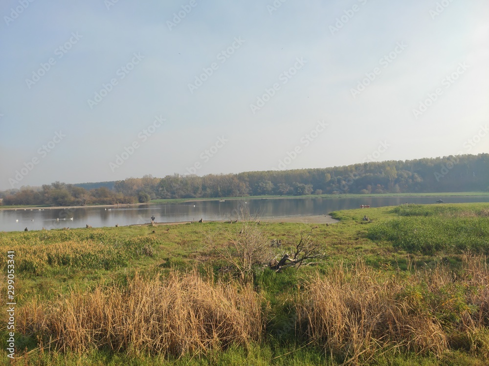 Nature reserve Provalija Banat near Smederevo Serbia wildlife refuge