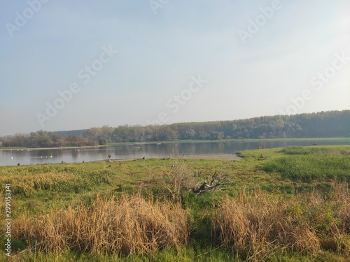 Nature reserve Provalija Banat near Smederevo Serbia wildlife refuge photo