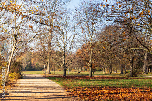 Autumn in the Treptower Park photo