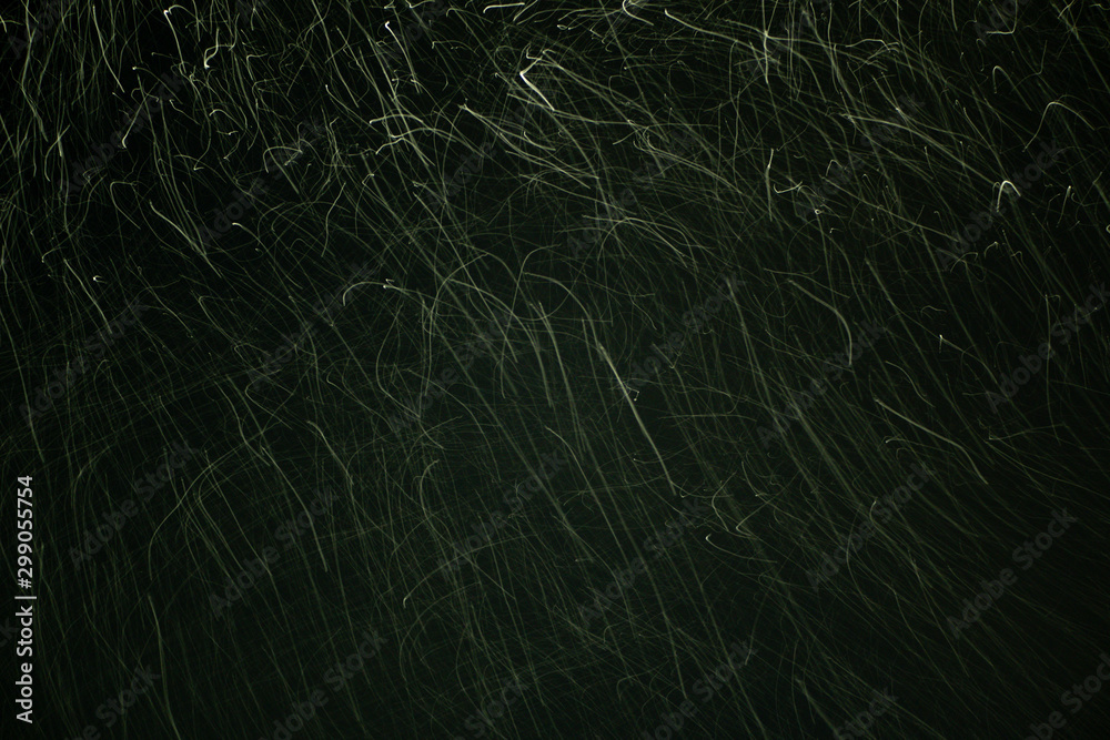 Fototapeta premium snow blowing on the night