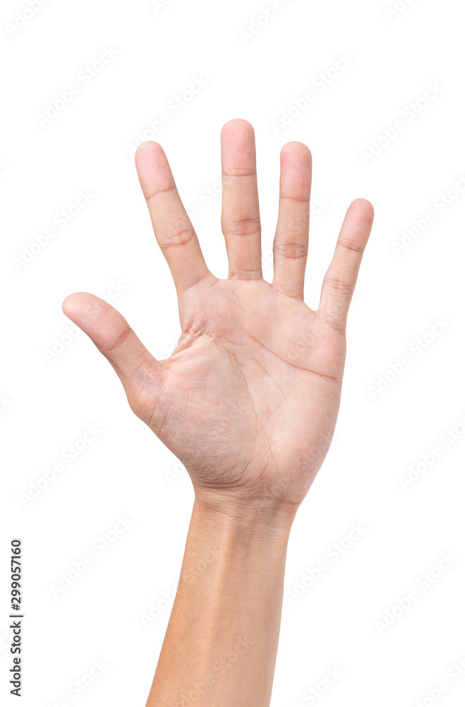 Man hand isolated on white background with clipping path Man hand isolated on white background with clipping path