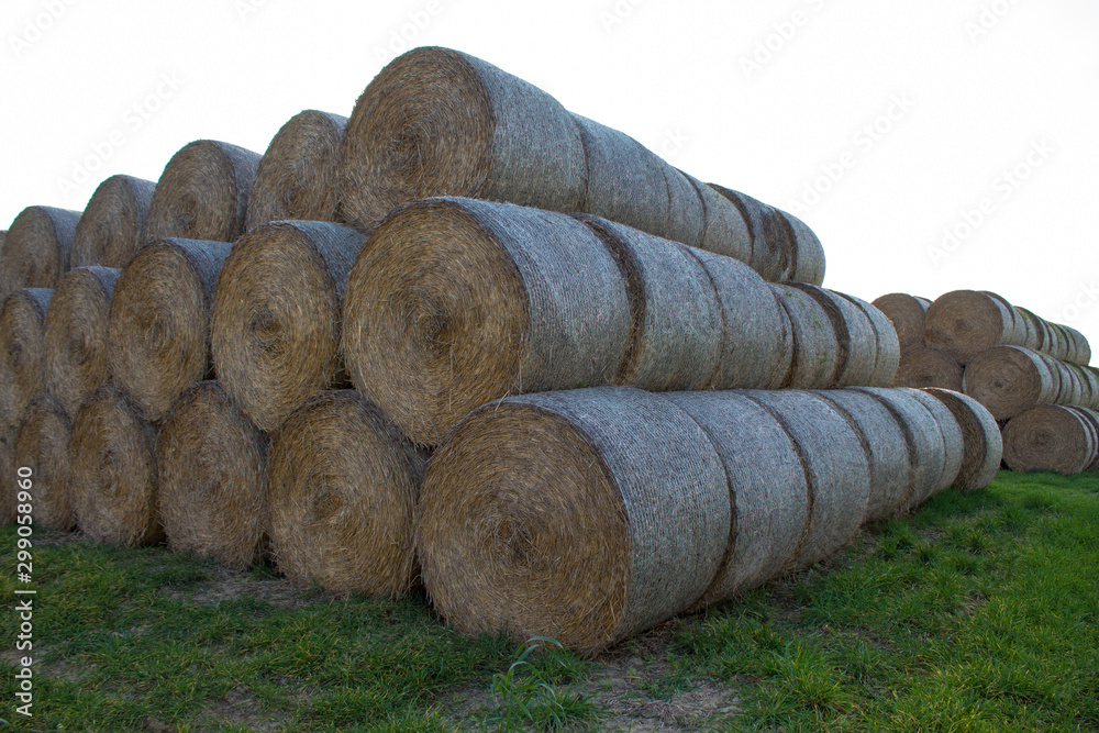 Close-up of cylindrical hay bales on farmland against a blue sky. Autumn landscape of cylindrical bales of hay in farmland in the sunset, cultivating fields. Close-up of cylindrical hay bales on farmland against a blue sky. Autumn landscape of cylindrical bales of hay in farmland in the sunset, cultivating fields.