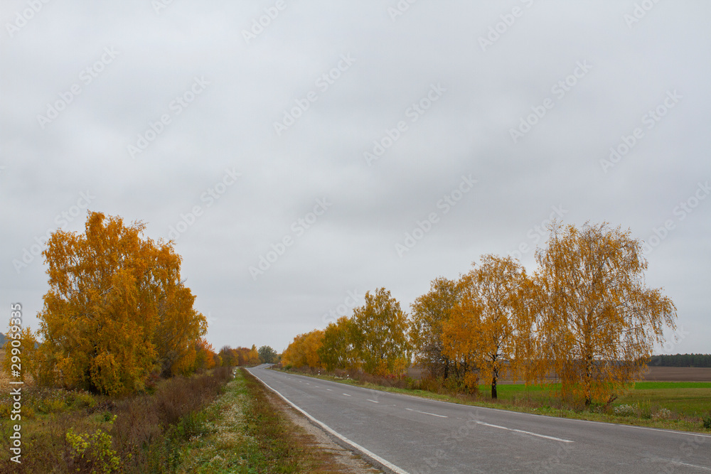 Autumn cloudy day, empty road