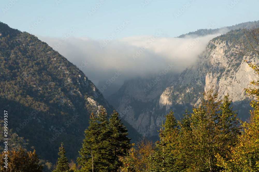 fog in the Küre mountains of north central Turkey fog in the Küre mountains of north central Turkey