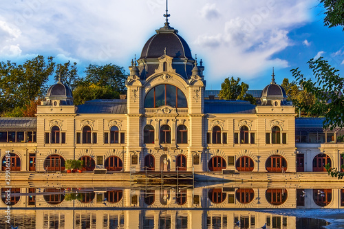 Building near the pond with gulls, Budapest © Oleg Zorchenko