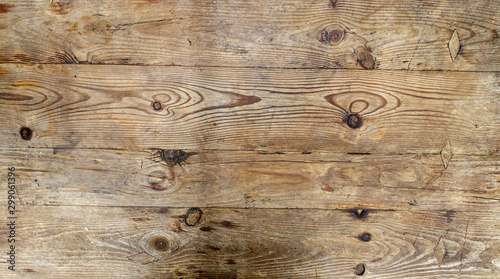 madera de roble, vista cenital. oak wood, aerial view.