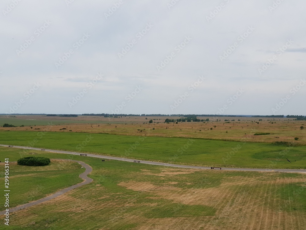 Green field landscape in summer