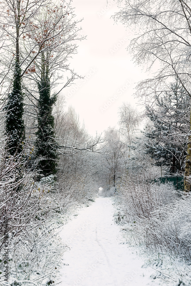 Obraz premium Snowing in January in England, UK