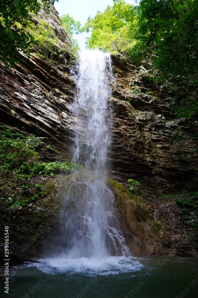 Fototapeta premium waterfall in forest