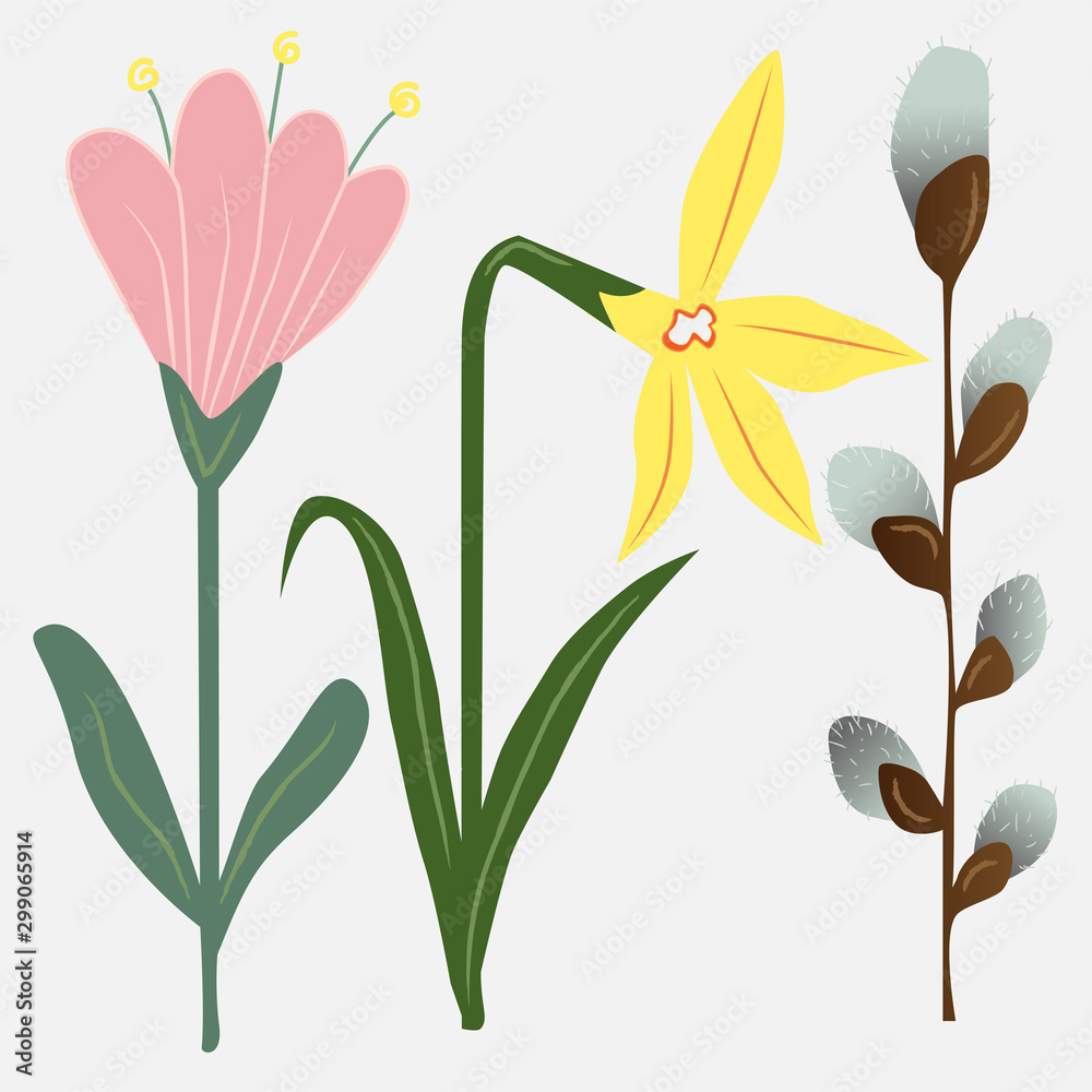 Obraz premium Easter flowers, narcissus, willow and tulip. Elements for greeting cards, decorations and illustrations. Digital drawing.