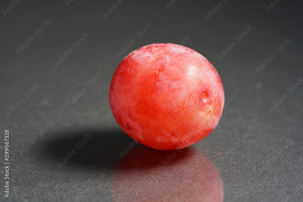 The Mirabelle, also called Yellow Plum, is a subspecies of the plum. The Mirabelle, also called Yellow Plum, is a subspecies of the plum.