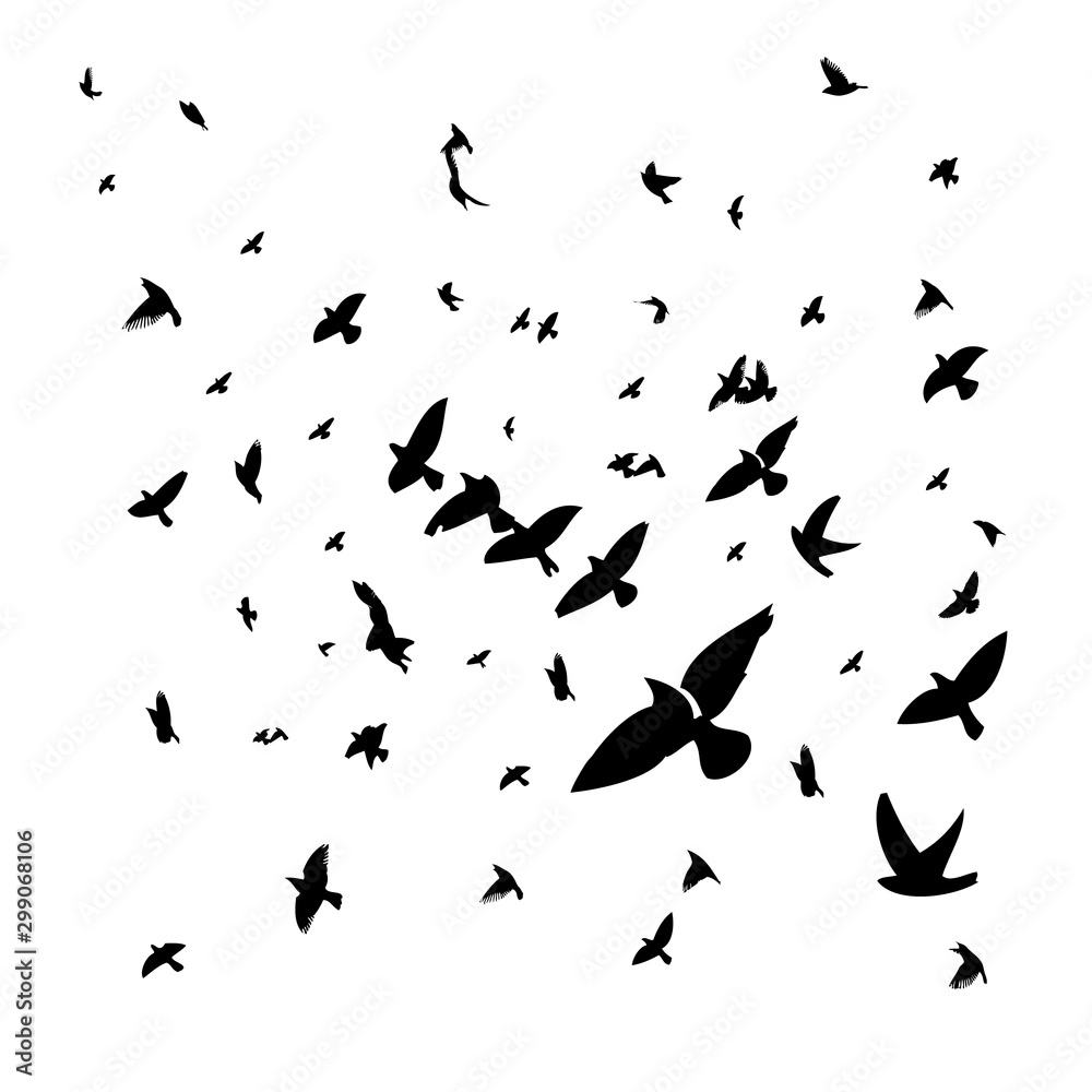 A flock of flying birds. Vector illustration A flock of flying birds. Vector illustration