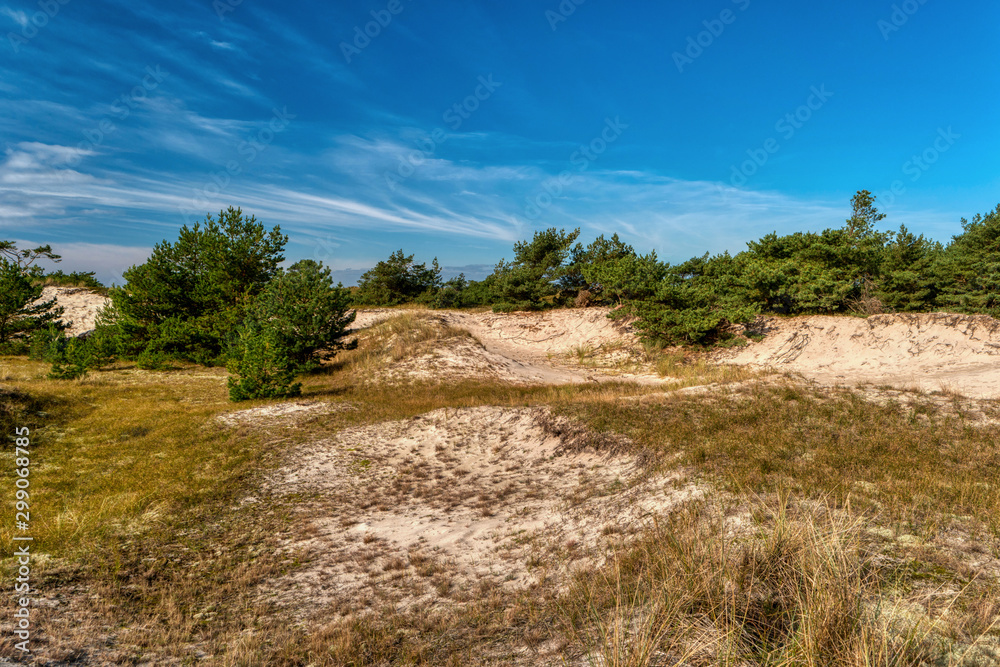 Coastal Landscape on Darss in Germany Coastal Landscape on Darss in Germany