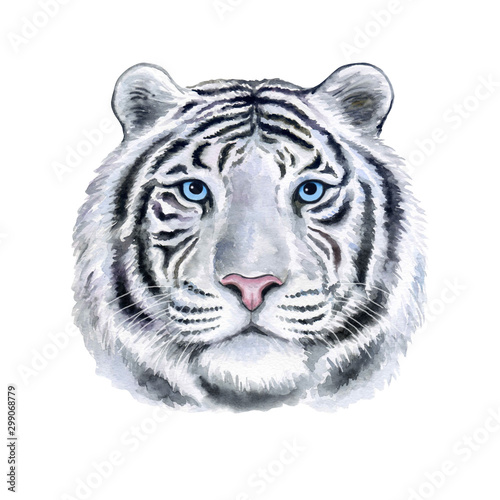 Muzzle white Tiger portrait with blue eyes isolated on white background. Watercolor. Illustration. Template. Hand drawing