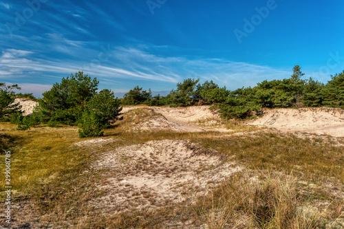 Coastal Landscape on Darss in Germany